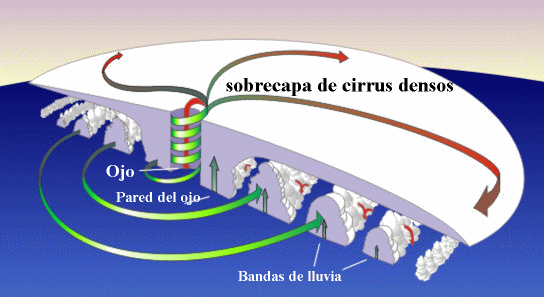 scheme of a tropical cyclone