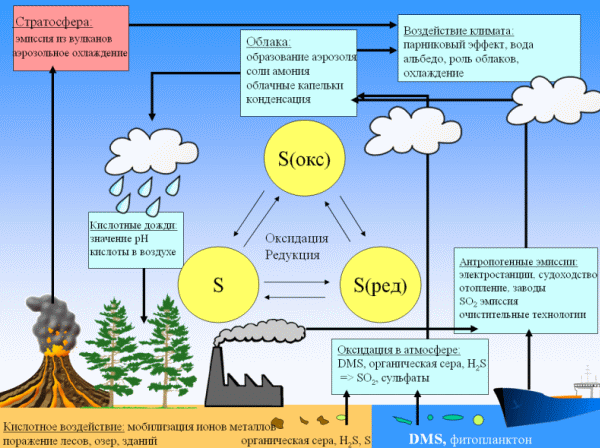 sulphur climate scheme