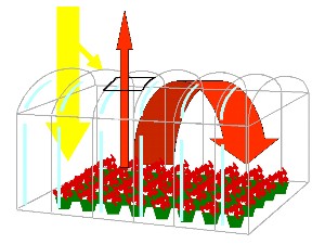 greenhouse model
