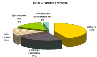 contributions to biomass burning