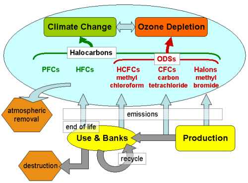 impacts of halogenated compounds