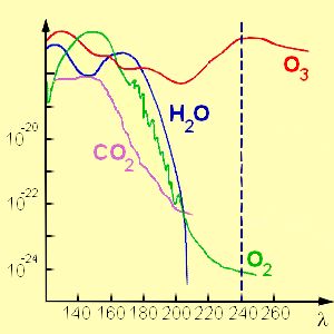ozone absorption in the UV range