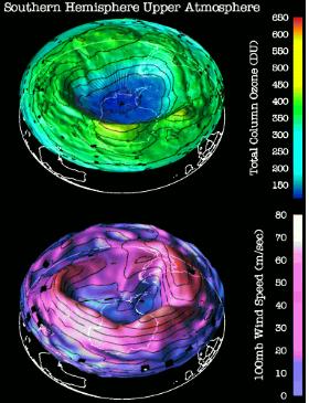 Polar vortex and ozone hole