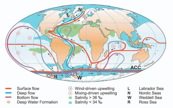 schematic view of ocean circulation