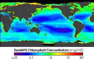 Chlorophyllkonzentration in Ozeanen