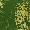 deforestation Amazonia