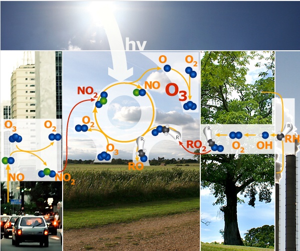 the complete ozone oxidation cycle