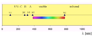 UV light in the electromagnetic spectrum