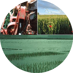 Logo Landwirtschaft