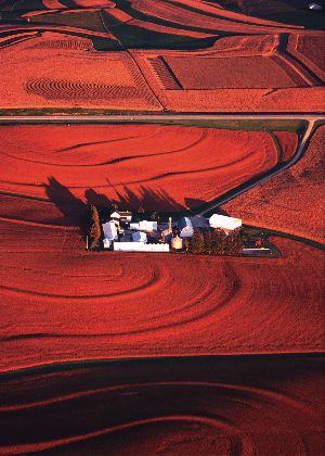 ferme dans les champs