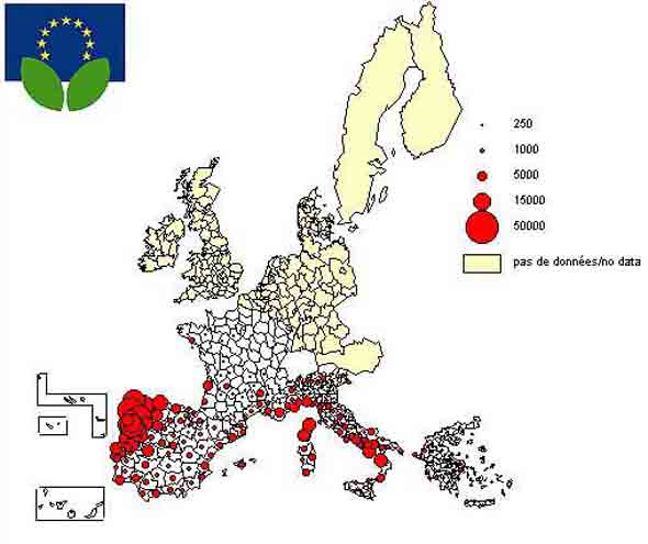 Feuer in Europa (1986-97)