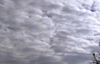 Altocumulus Wolken