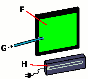 fluorescence experiment