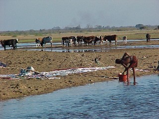 Kleinbauern in Indien