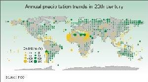 annual precipitation trends