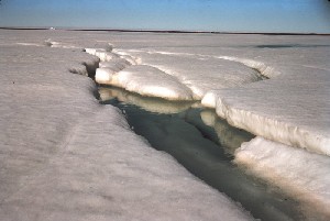 vorzeitige arktische Frühjahrsschmelze