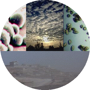 clouds and particles