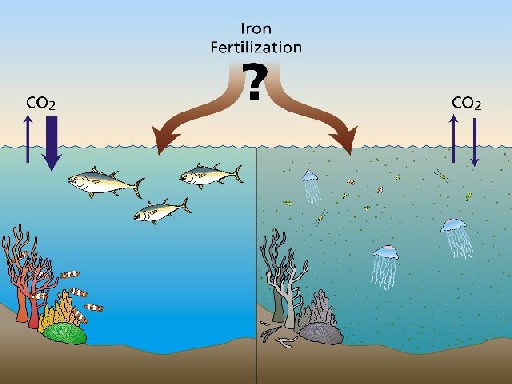 outcomes of  ocean iron fertilisation