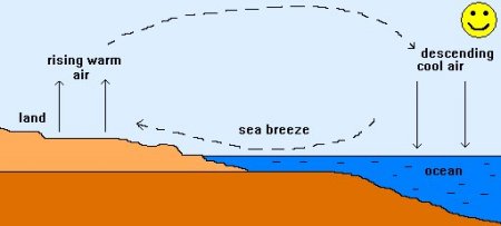 sea breeze