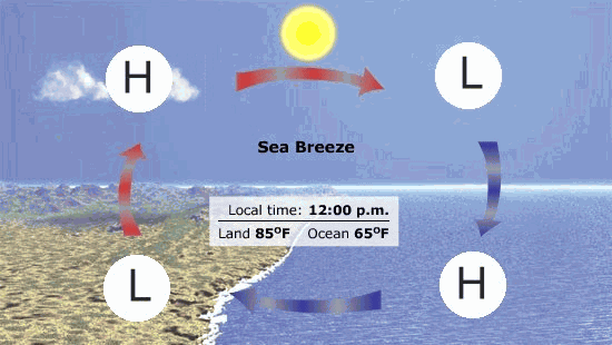 sea breeze & land breeze