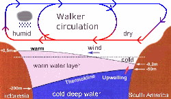 Animation der Walker Zirkulation