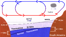 Zirkulation während El Nino Bedingungen