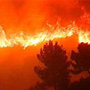 Waldbrände in Portugal 2003