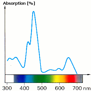 absorption spectrum of chlorophyll