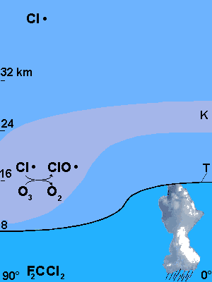 location of chapman reactions