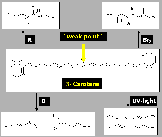 mögliche Reaktionen von ß-Carotin