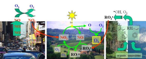 der vollständige Ozon-Oxidations-Zyklus
