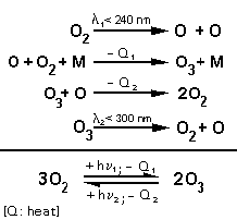 Chapman-Zyklus - Reaktionen