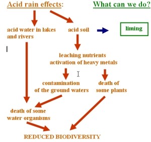 acid rain effects and solution