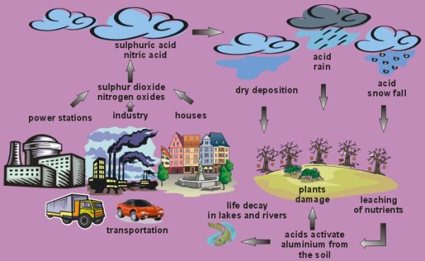 origin and effects of acid rains