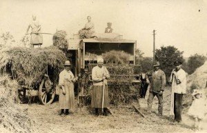 farmers' work,haymaking