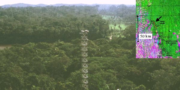 a measurement site in  Rodônia, Brazil