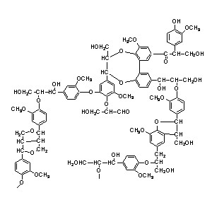 chemischer Aufbau von Lignin