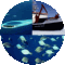 Logo Ozeane
