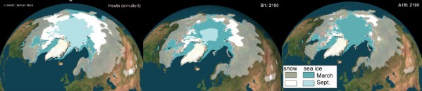 sea ice simulation