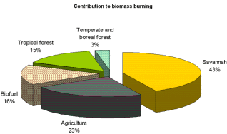 Beitrag Bio-Brennstoffen zur gesamten Biomasseverbrennung