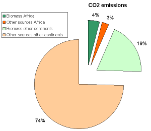 Schätzung Biomasseverbrennung zu CO2 Emissionen