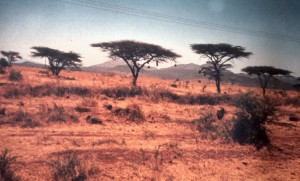 landscape in Kenya