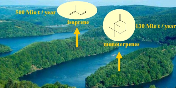 monoterpene and isoprene emissions global