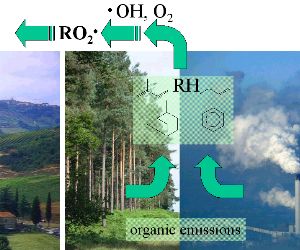 organic emissions