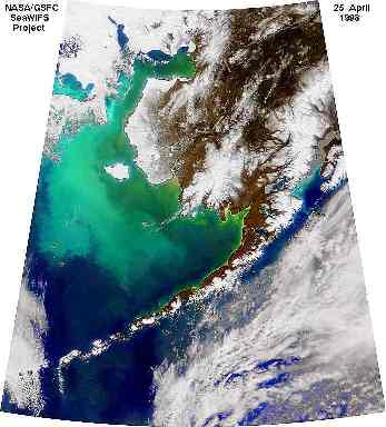 coccolithophore bloom in the Bering Sea